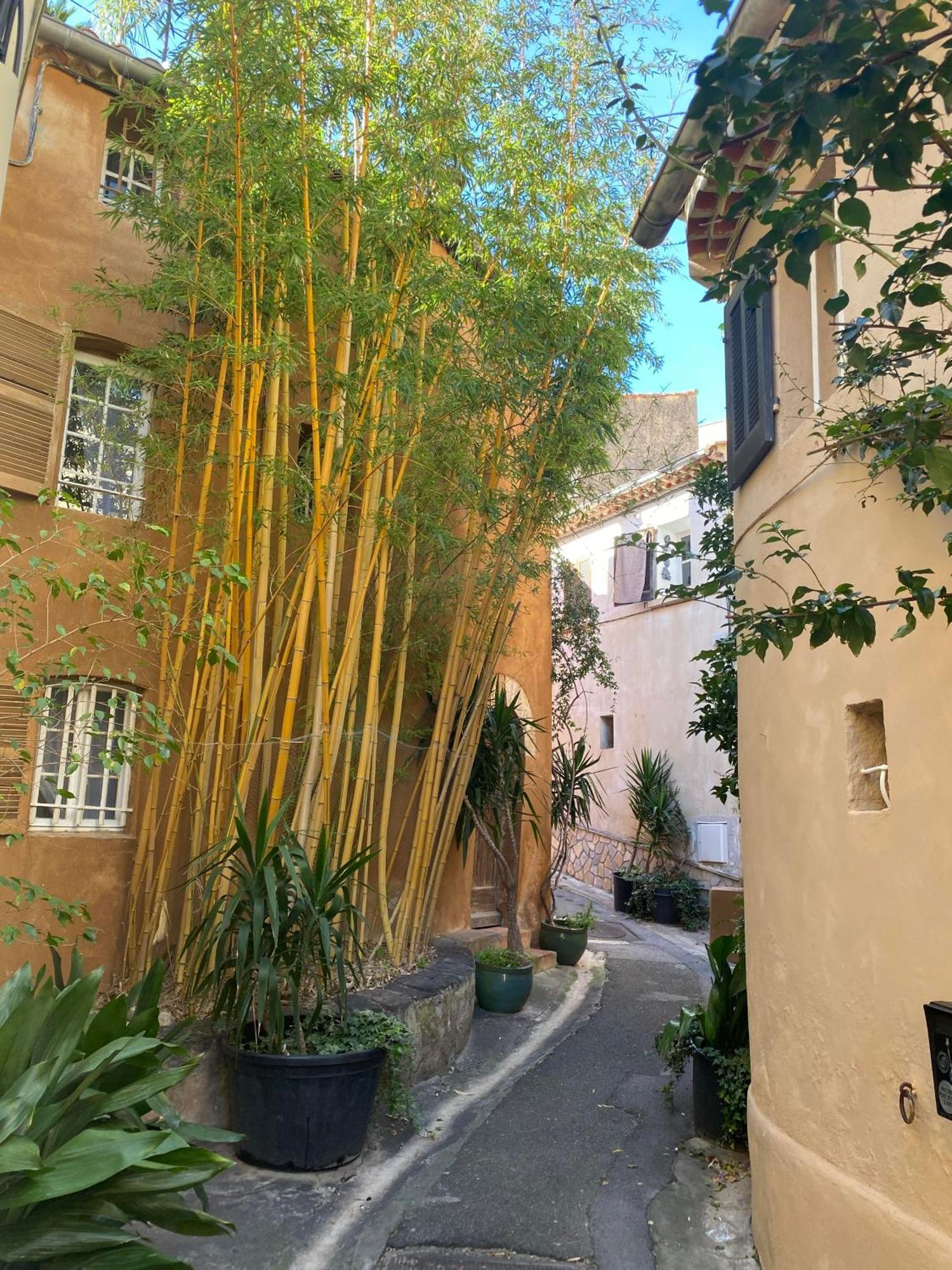 Spacieux Duplex, Vue Mer Et Belle Terrasse Hyères Eksteriør billede